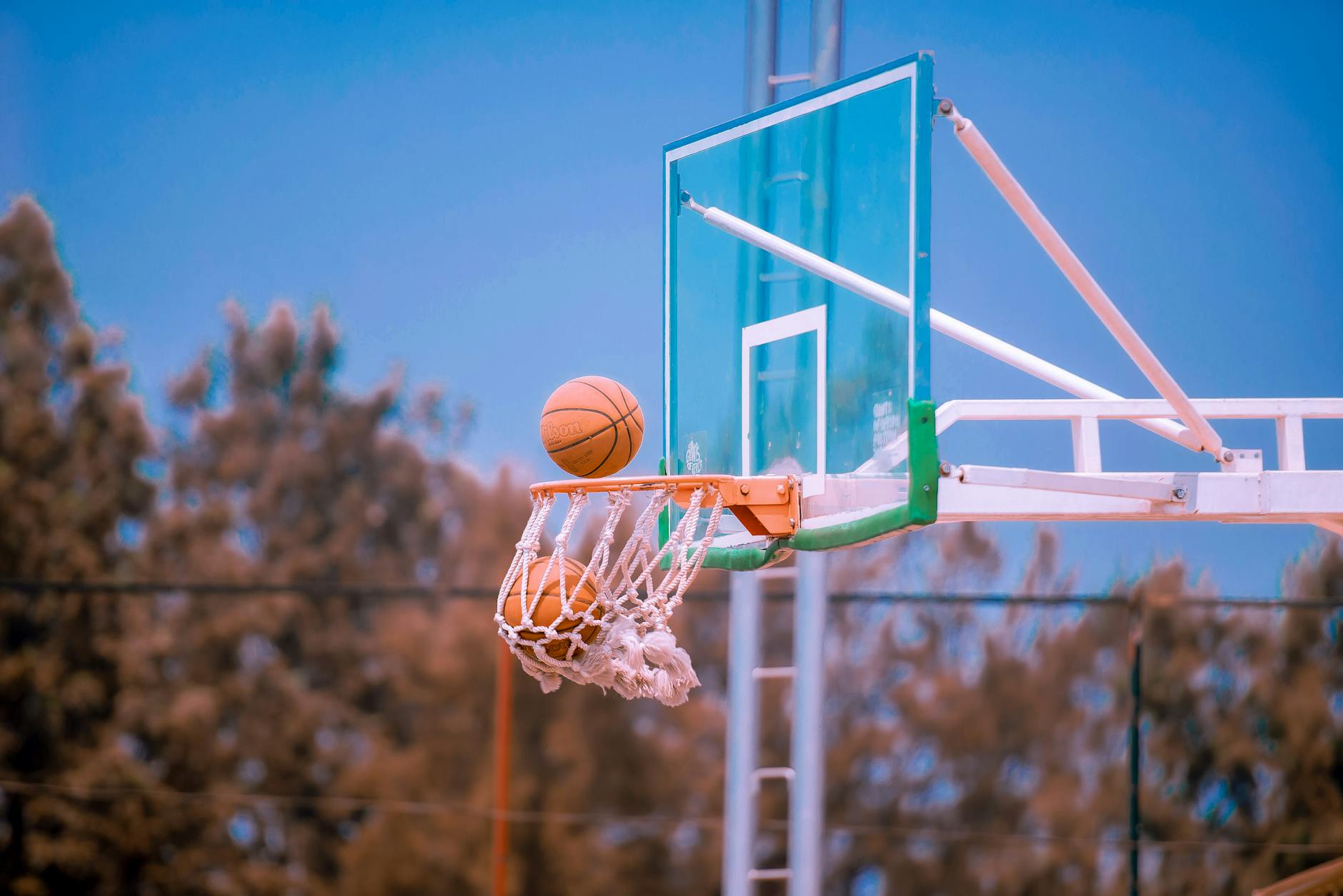 predictive models in sports